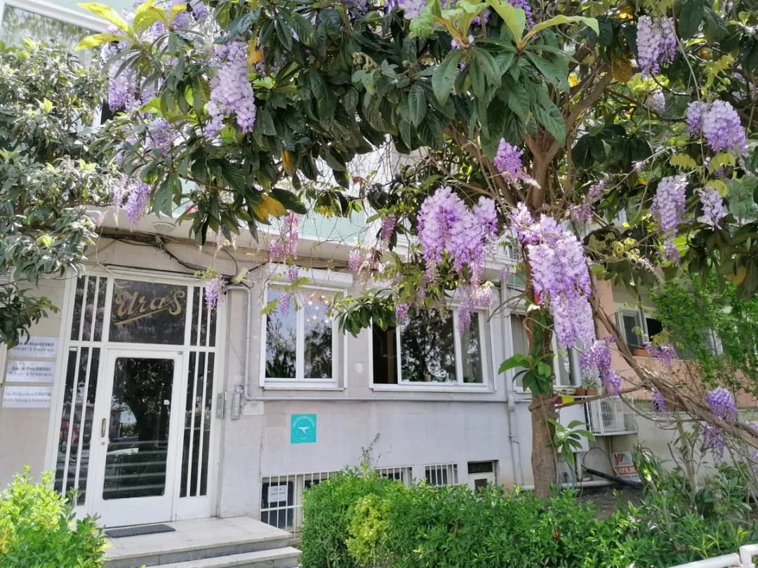 Uzm. Dr. Elvan Çiçekçi – Kadıköy Psikoterapi Merkezi — Mental Health & Psychology in Istanbul