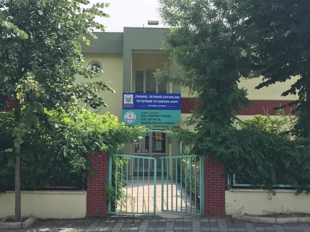 Zihinsel Yetersiz Cocuklari Yetistirme ve Koruma Vakfi — Physiotherapy & Rehabilitation in Istanbul