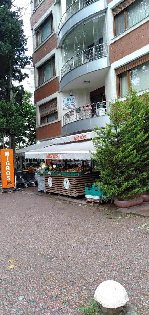 Drakupunktur — Alternative & Holistic Medicine in Istanbul