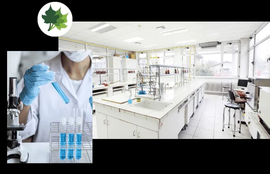 Akademi Çevre A.Ş. Tuzla Laboratuvarı — Labs & Diagnostics in Istanbul