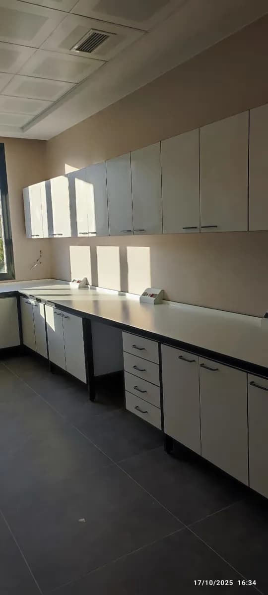 Deltalab — Labs & Diagnostics in Istanbul