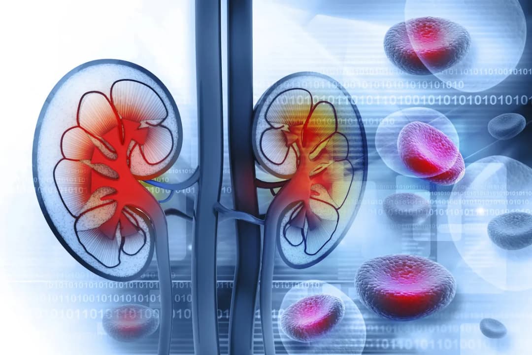 Professor Dr. Fatih Atuğ — Urology in Istanbul