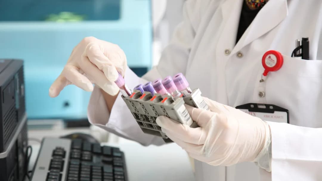 Düzen Laboratuvarlar Grubu Kadıköy Şubesi — Labs & Diagnostics in Istanbul