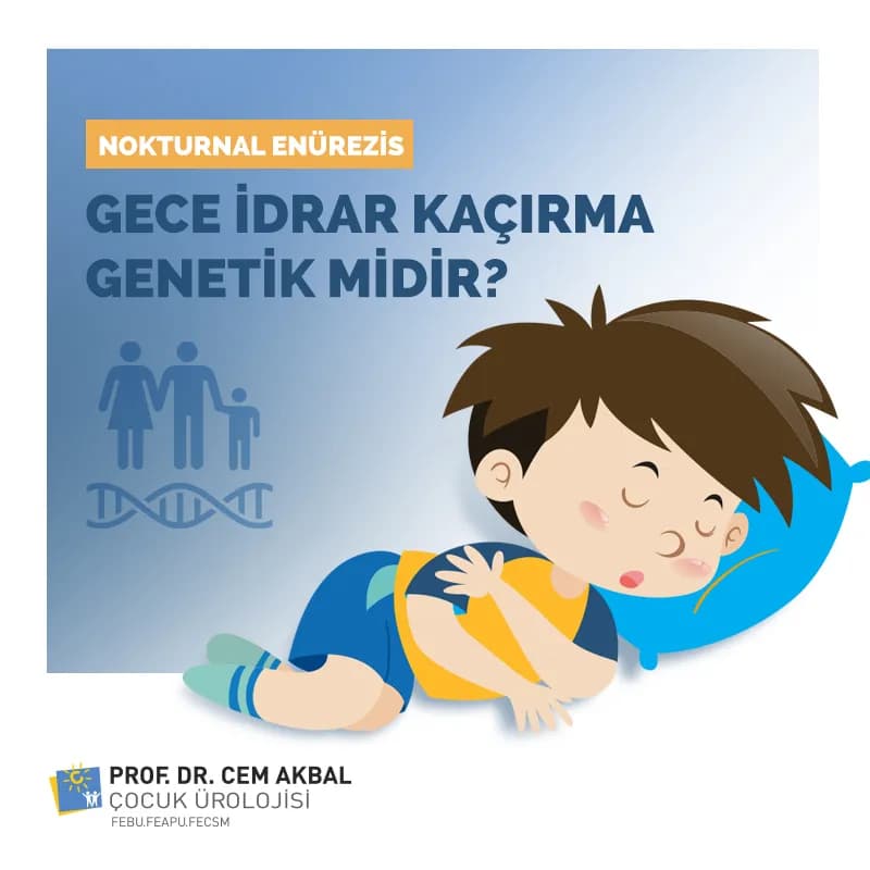 Prof. Dr. Cem Akbal — Nephrology in Istanbul