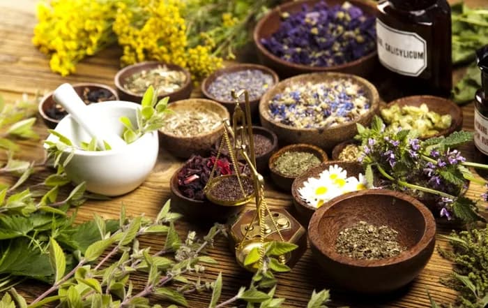 Dr.Bekir YILDIZ — Alternative & Holistic Medicine in Istanbul