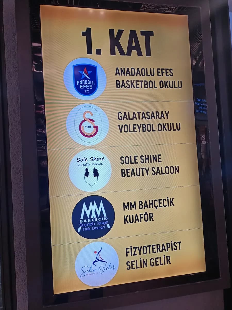 Fizyoterapist Selin Gelir / Healthlab — Physiotherapy & Rehabilitation in Istanbul