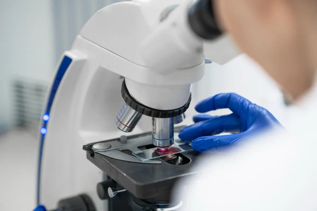 Güvenli Test Merkezi — Labs & Diagnostics in Istanbul