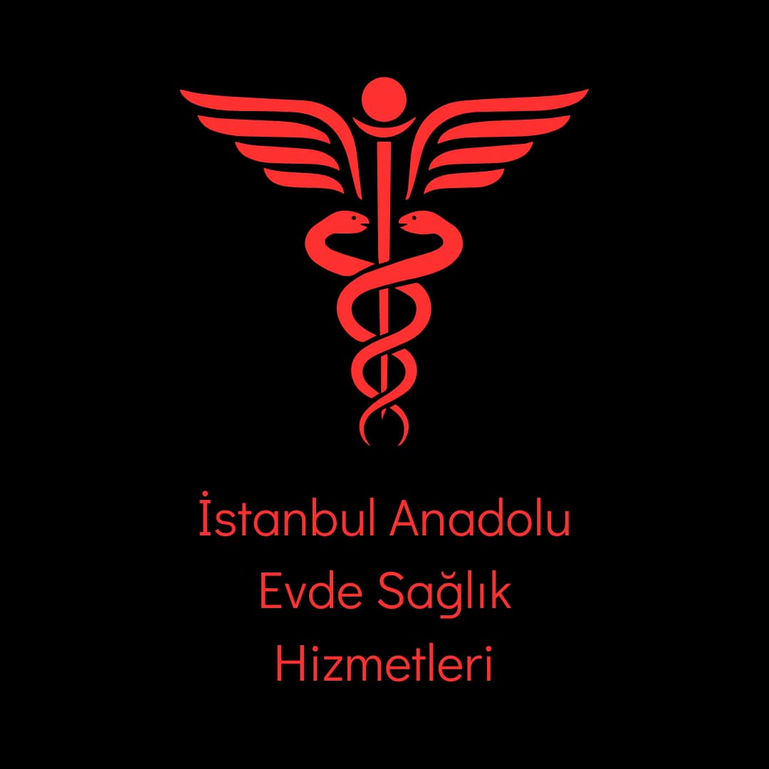 İstanbul Anadolu Evde Sağlık Hizmetleri
