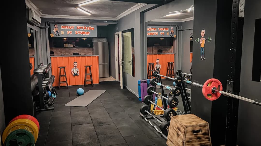 Mesut Ertüzün Pt Studio