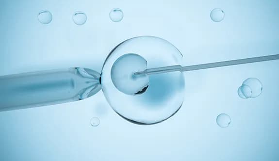 Dr. Mehmet Koç IVF Clinic | Tüp Bebek Merkezi | IVF Center
