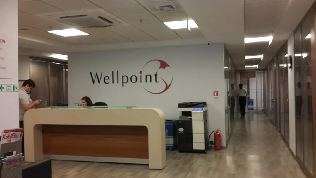 Wellpoint Şirketler Grubu