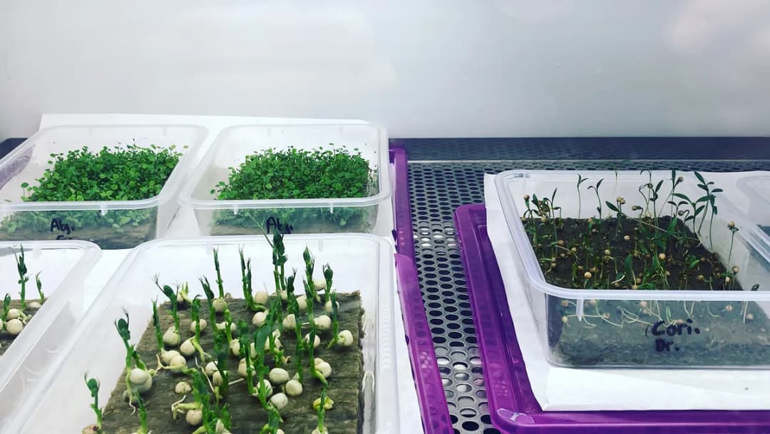 İ.Ü. Çevre Gıda ve Enstrümental Analiz Laboratuvarı