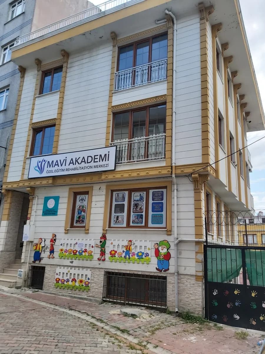 Mavi Akademi Özel Eğitim ve Rehabilitasyon Merkezi — Physiotherapy & Rehabilitation in Istanbul