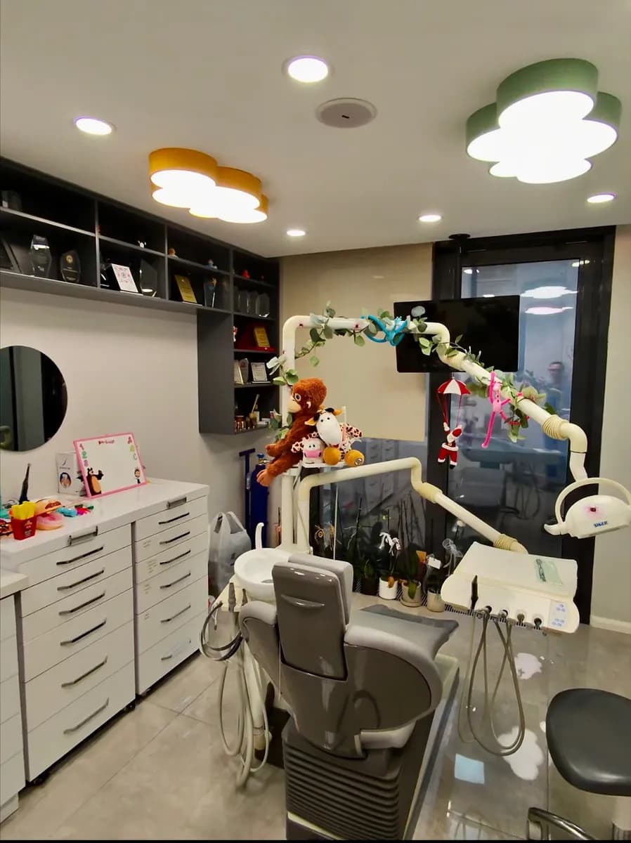 Çocuk Diş Hekimi Nur Dokumacıgil - Pedodonti — Dental Clinics in Istanbul