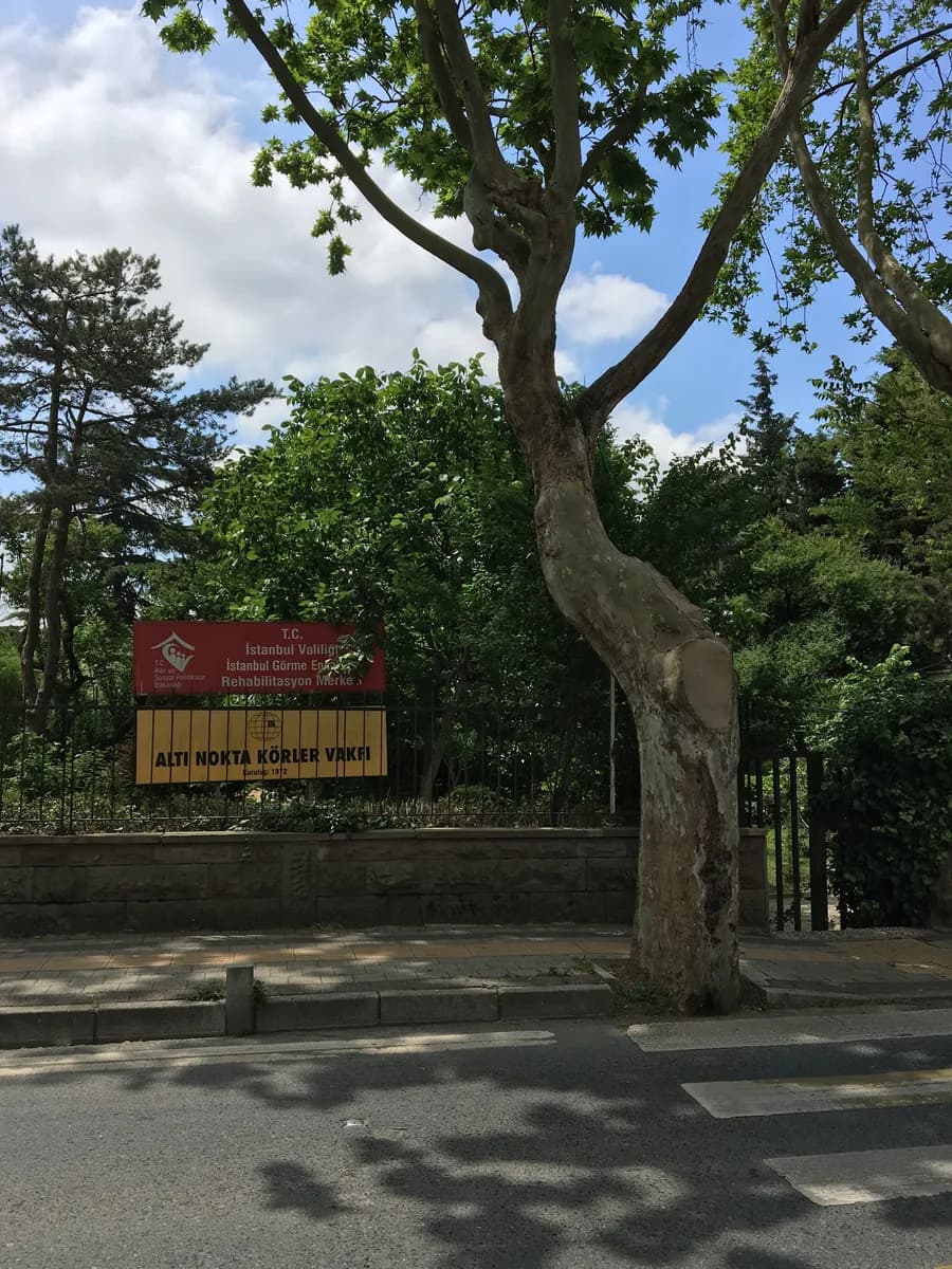İstanbul Görme Engelliler Rehabilitasyon Merkezi Müdürlüğü