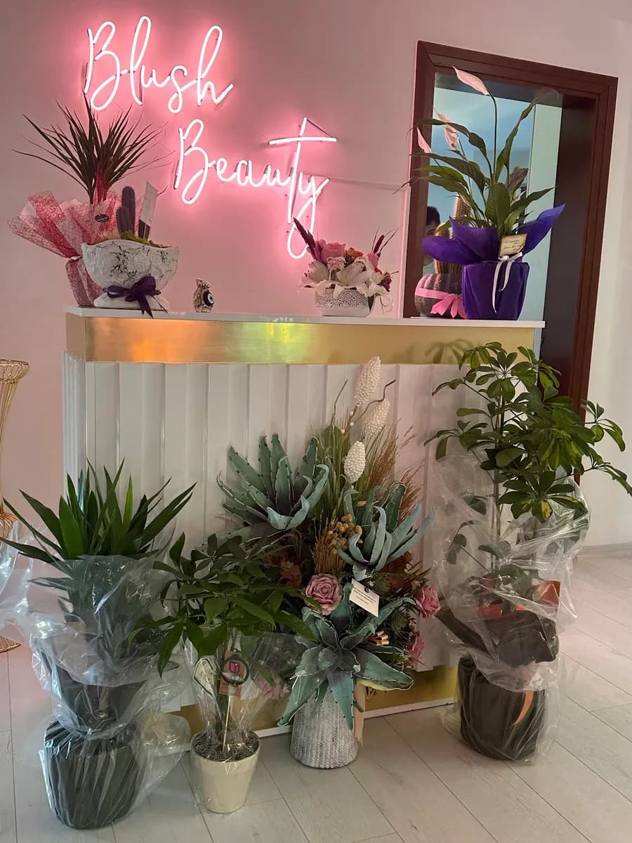 Blush Beauty İstanbul — Dermatology & Skin Care in Istanbul
