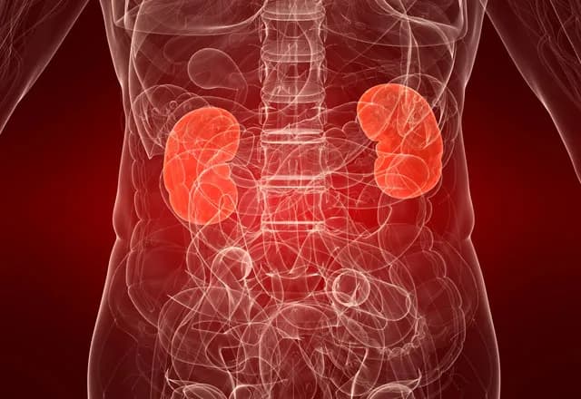 Op.Dr Ender Kavukcu Üroloji-Androloji Kliniği — Nephrology in Istanbul