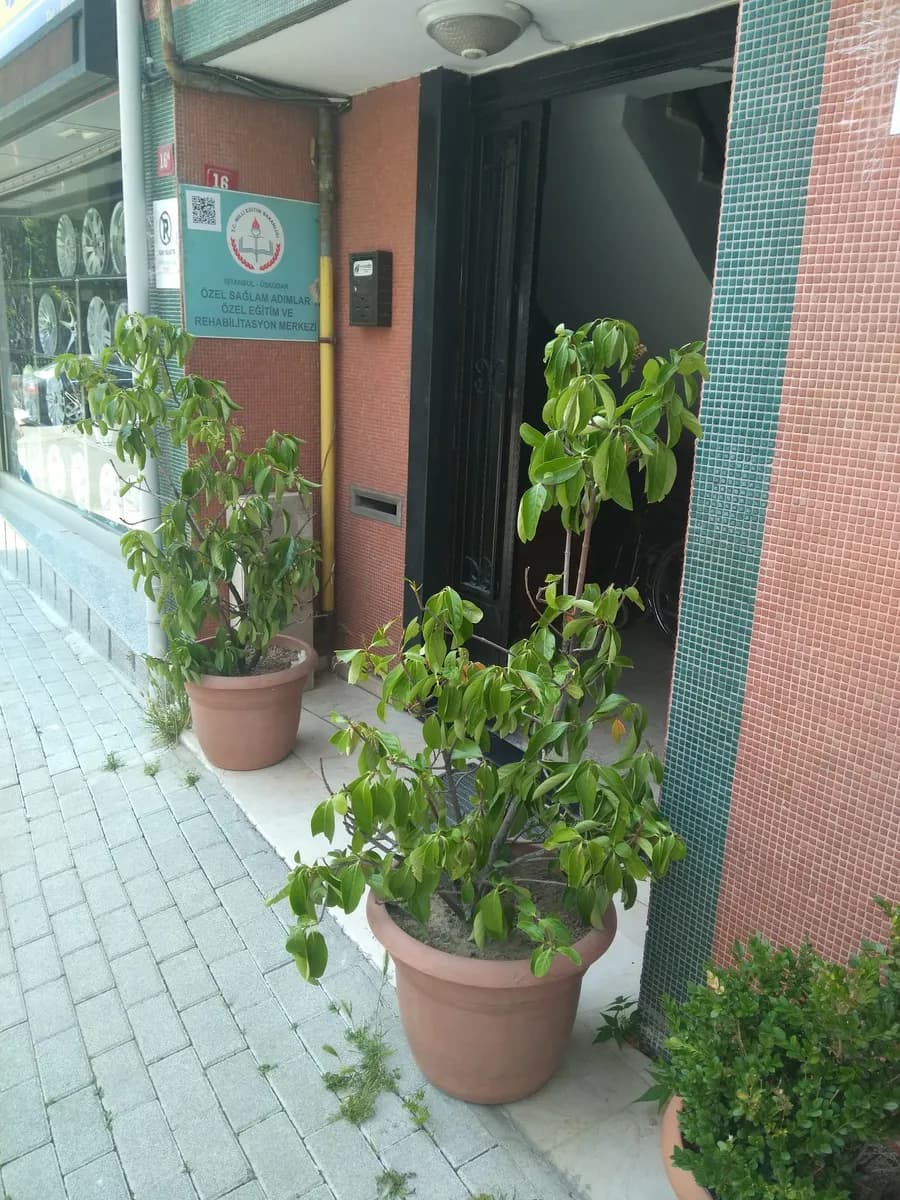 Özel Sağlam Adımlar Rehabilitasyon Merkez — Physiotherapy & Rehabilitation in Istanbul