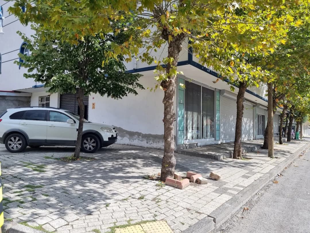 Ees Dizayn - Ees Gastro — Gastroenterology & Digestive in Istanbul