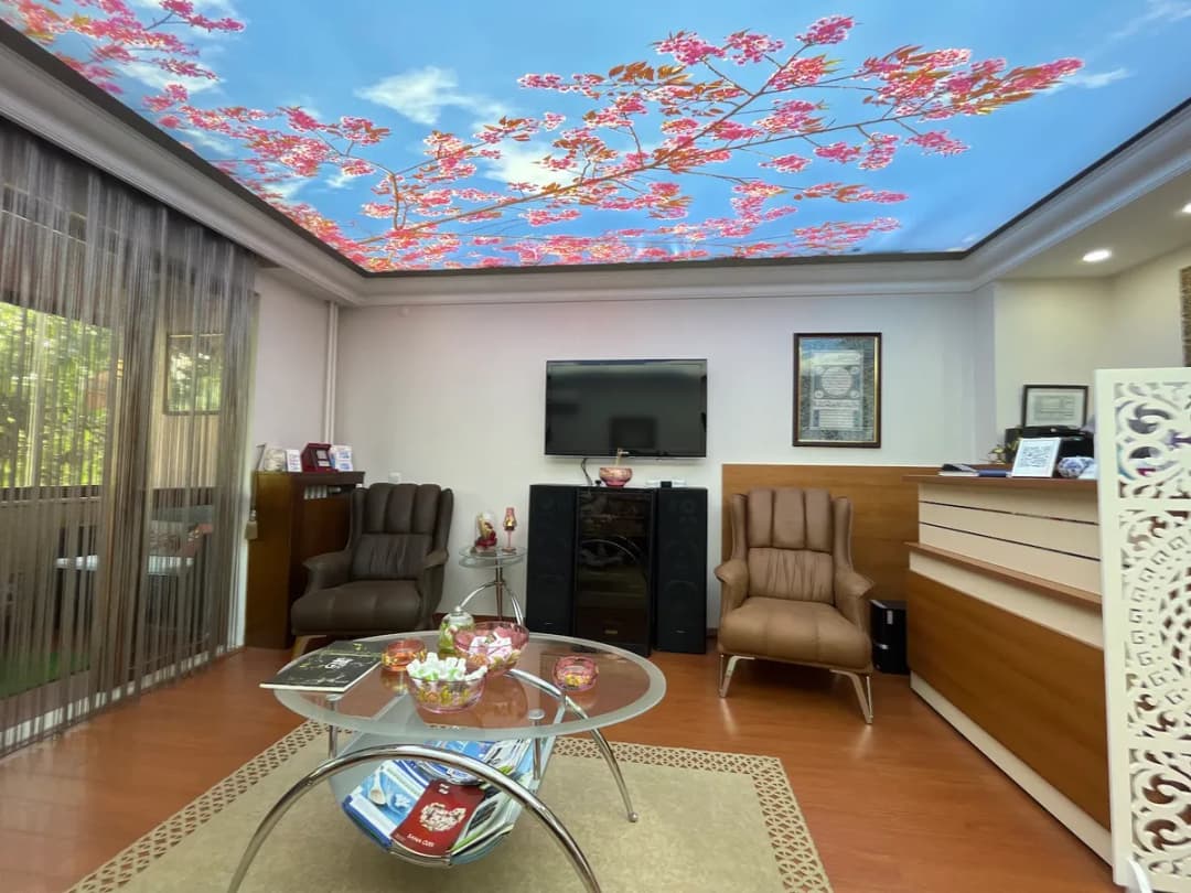 Oral Sağlık Kadıköy (Diş Hekimi Çiçek Serdaroğlu) — Dental Clinics in Istanbul