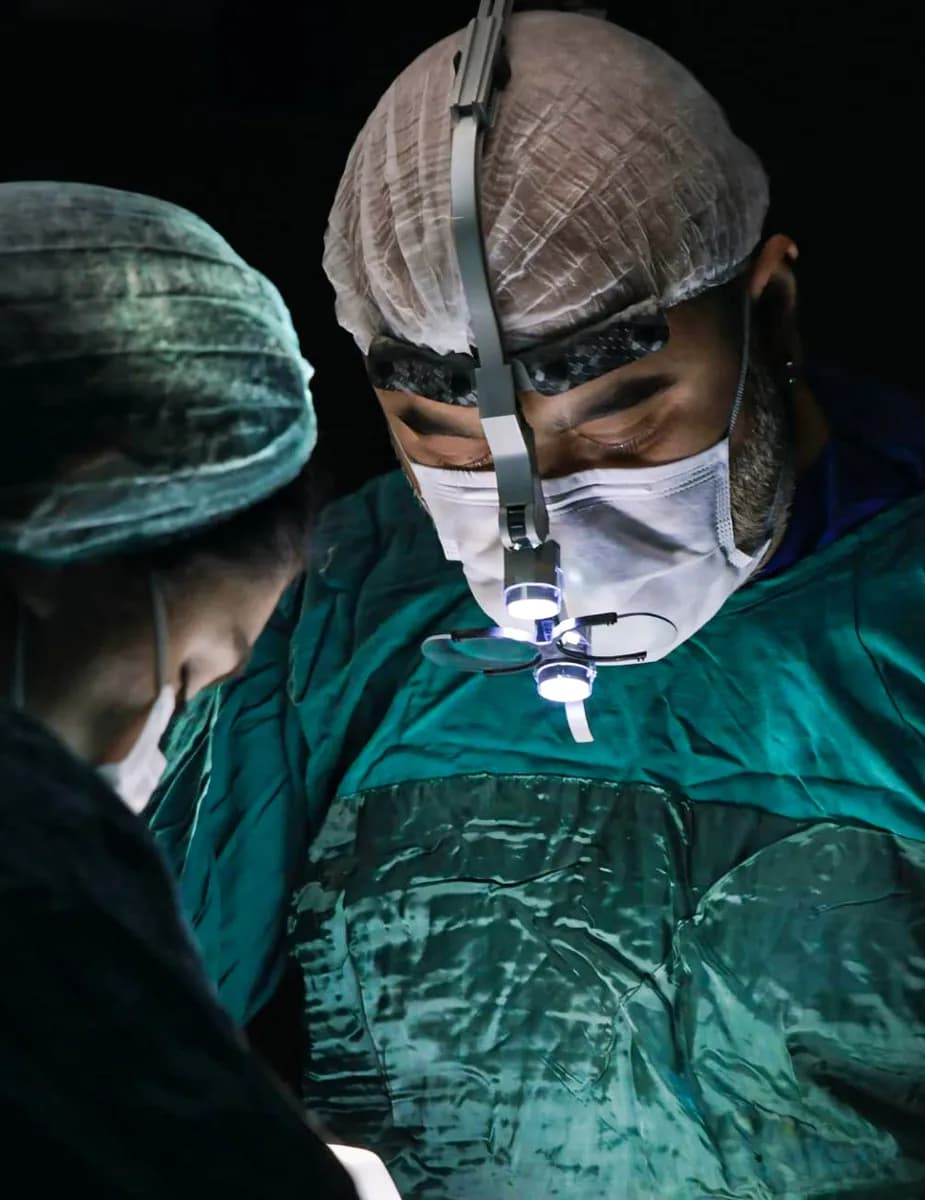 Kiss. Dr. Tamer Şakrak Aesthetic and Plastic Surgery