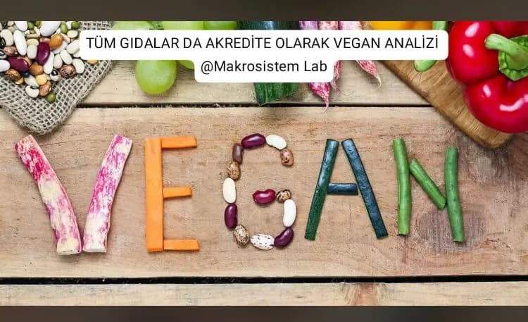 Makrosistem Laboratuvar Hizmetleri — Labs & Diagnostics in Istanbul