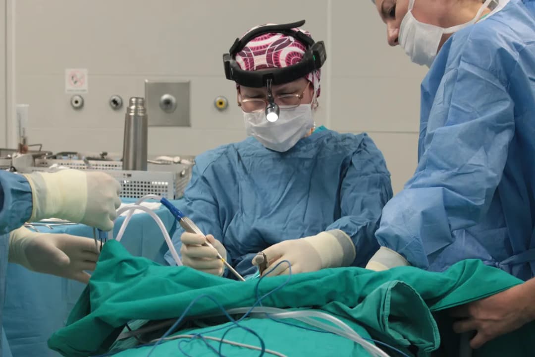 Prof. Dr. Fatma Tülin Kayhan — ENT (Ear, Nose & Throat) in Istanbul