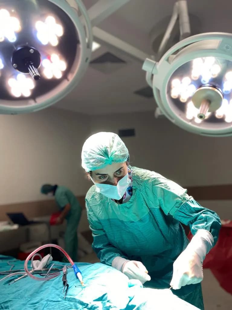 Assoc. Prof. Dr. Emine Demir - Face Lift Surgery Turkey — Cosmetic & Plastic Surgery in Istanbul