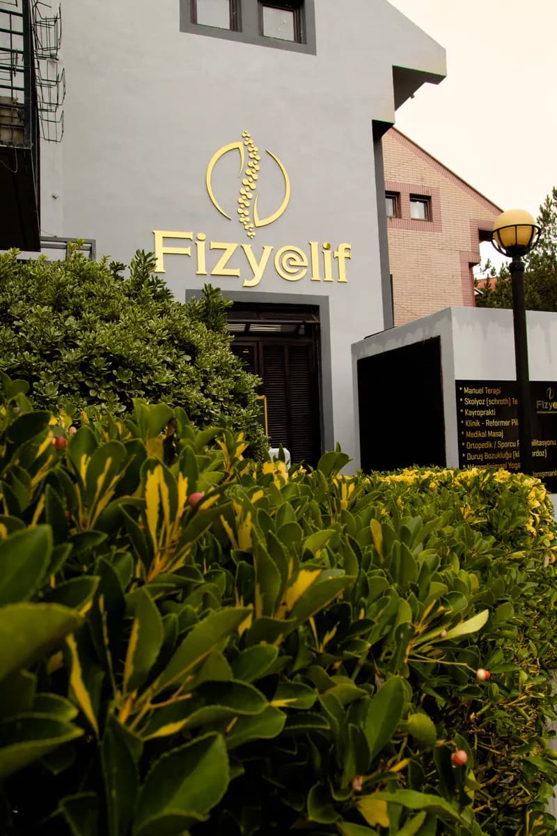 Fizyolif Omurga Sağlığı Merkezi — Physiotherapy & Rehabilitation in Istanbul