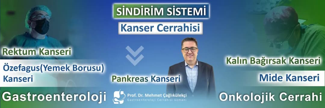 Prof. Dr. Mehmet Çağlıkülekçi | Gastroenteroloji cerrahisi - Sindirim Sistemi Cerrahisi