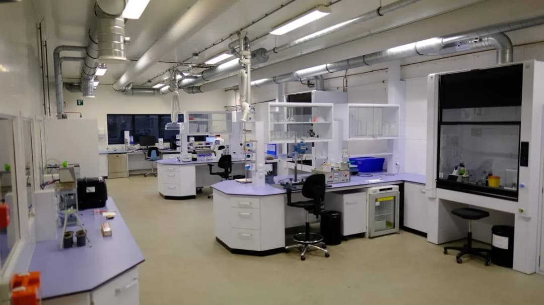 Dna & Dna Lab — Labs & Diagnostics in Istanbul