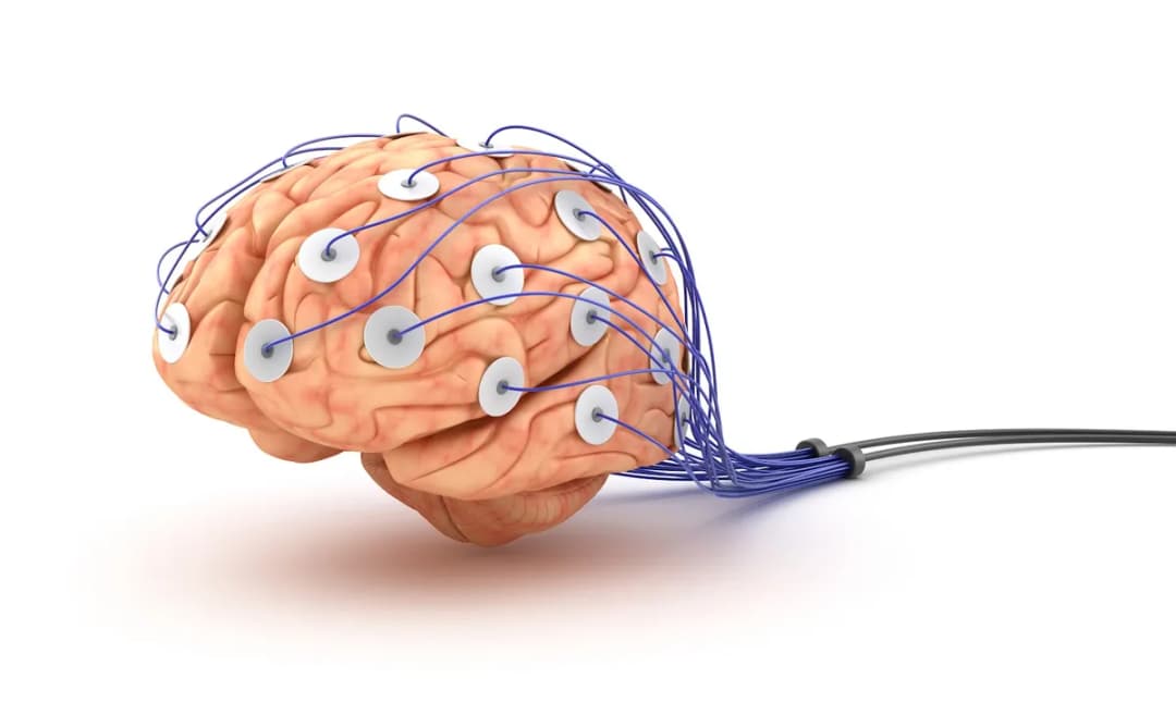 Prof. dr. Serap UYSAL — Neurology & Brain Health in Istanbul