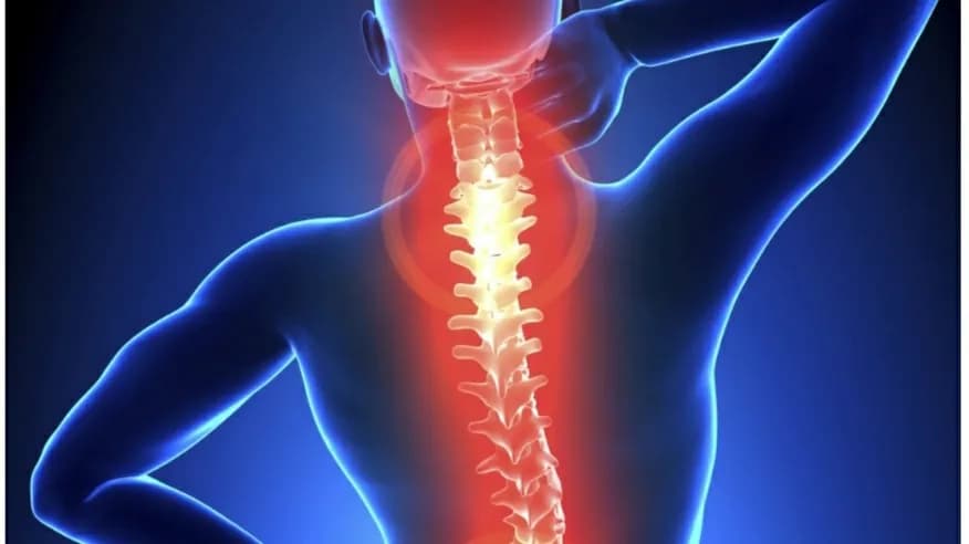 Fİzyo-İst Evde Fizik Tedavi — Physiotherapy & Rehabilitation in Istanbul