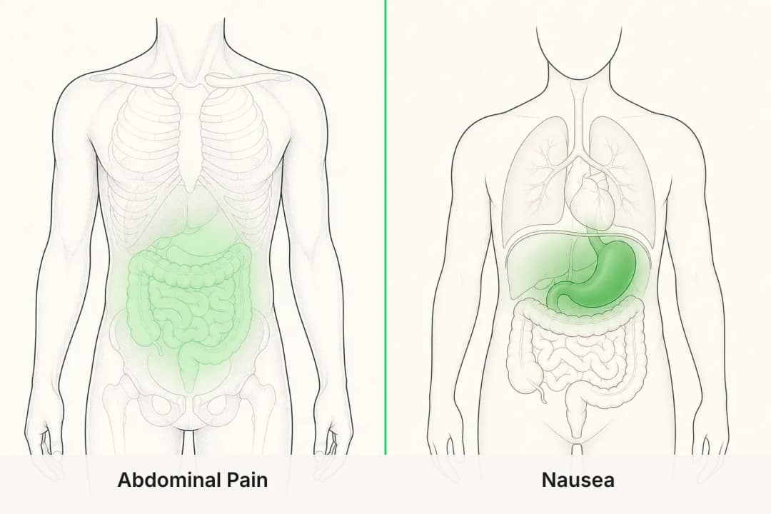 Abdominal Pain and Nausea shown side by side for comparison