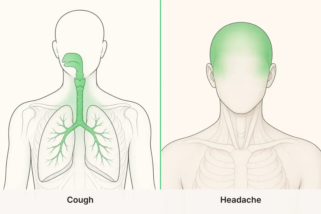 Cough and Headache shown side by side for comparison