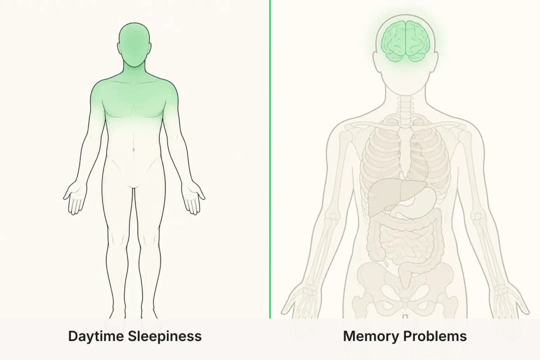 Daytime Sleepiness and Memory Problems shown side by side for comparison