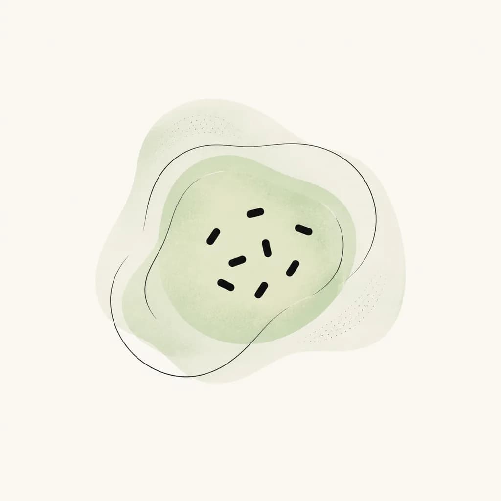 Brachytherapy Seeds and where it is used in the body