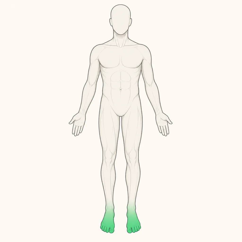 Where Foot Pain is typically felt, shown on a simplified body outline