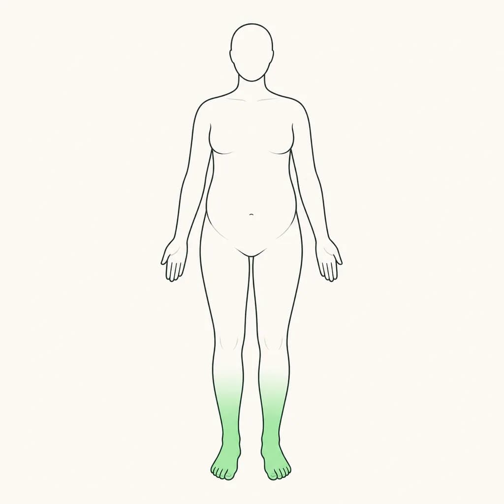 Where Swelling in Pregnancy is typically felt, shown on a simplified body outline