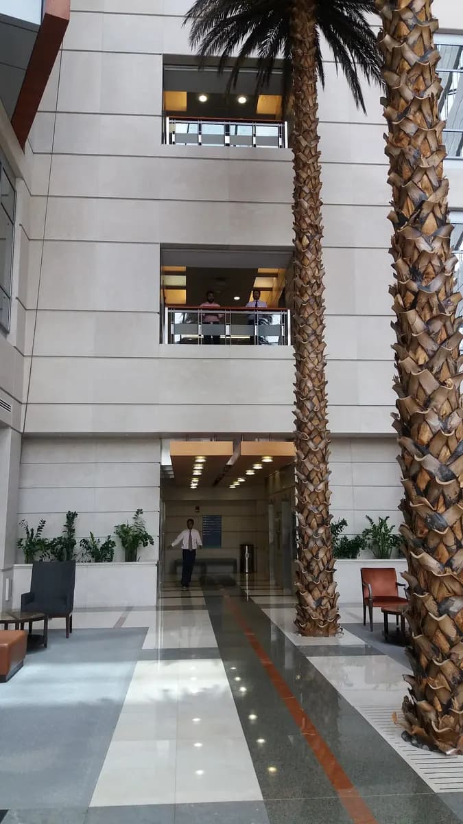 American Hospital Clinics Dubai Media City — صورة 8