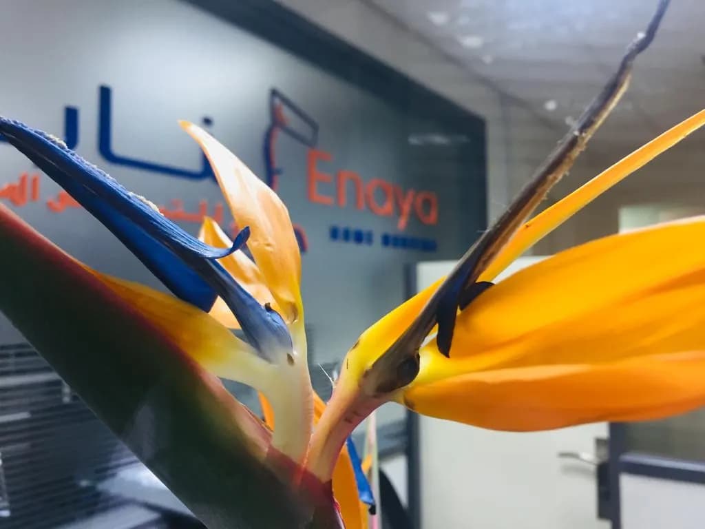 Enaya Home Nursing Services — صورة 6