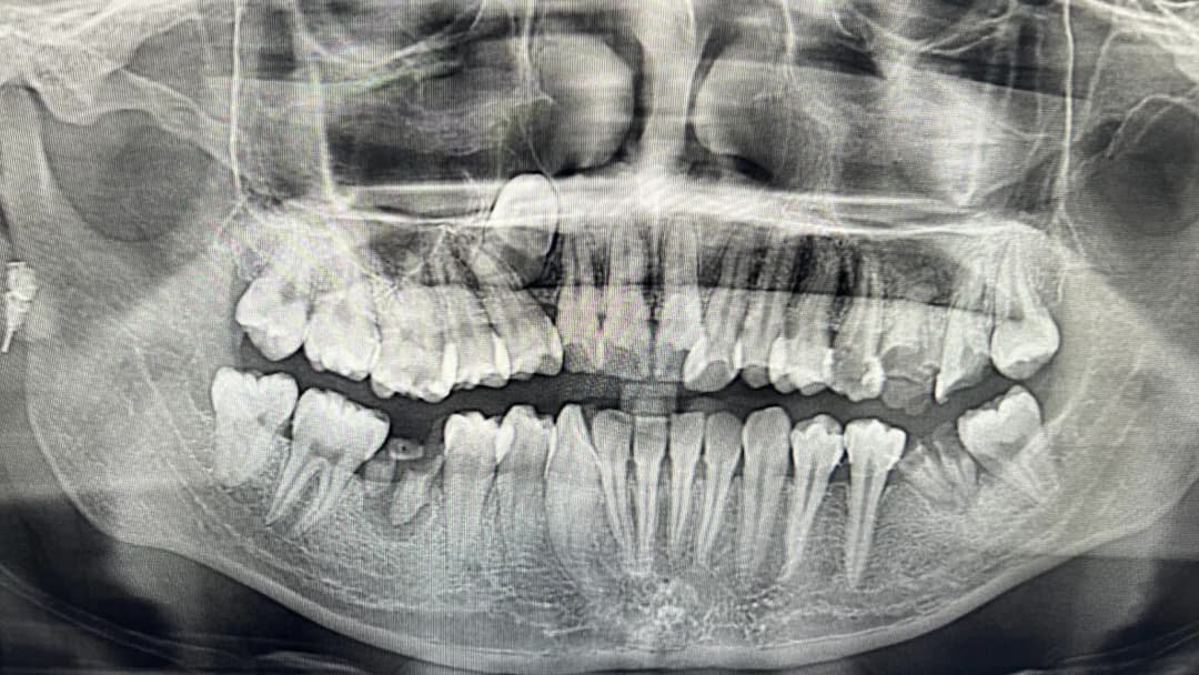 Flamingo Skin General Dental Clinic — صورة 8