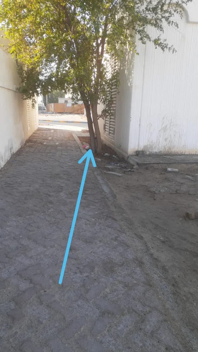 Pakistan Community Welfare School Clinic — صورة 6
