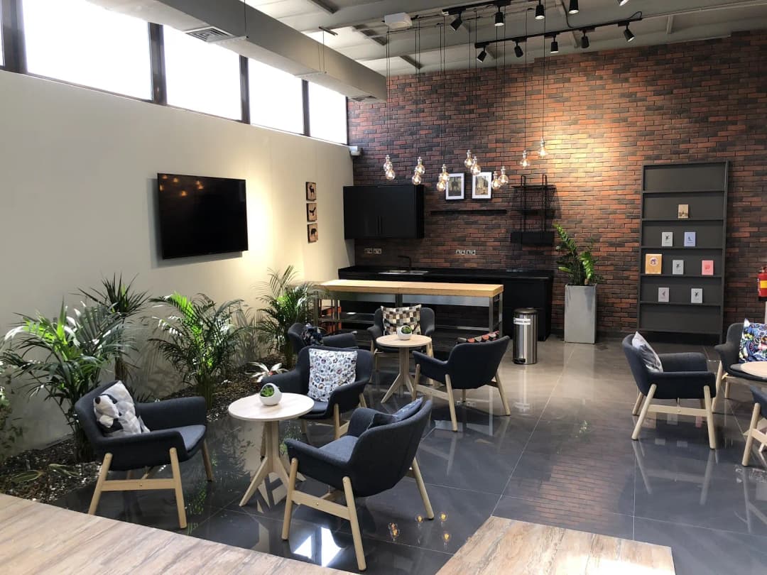 Sparkle Dental Boutique — صورة 6