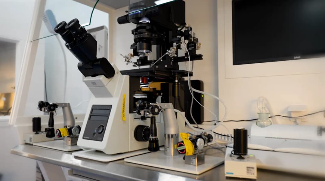 Art Fertility Clinics — صورة 7