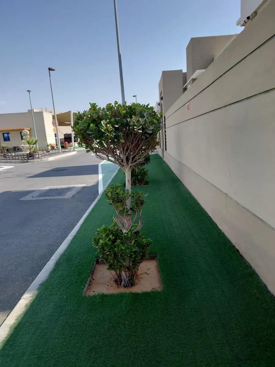 Amana Village Healthcare — صورة 8
