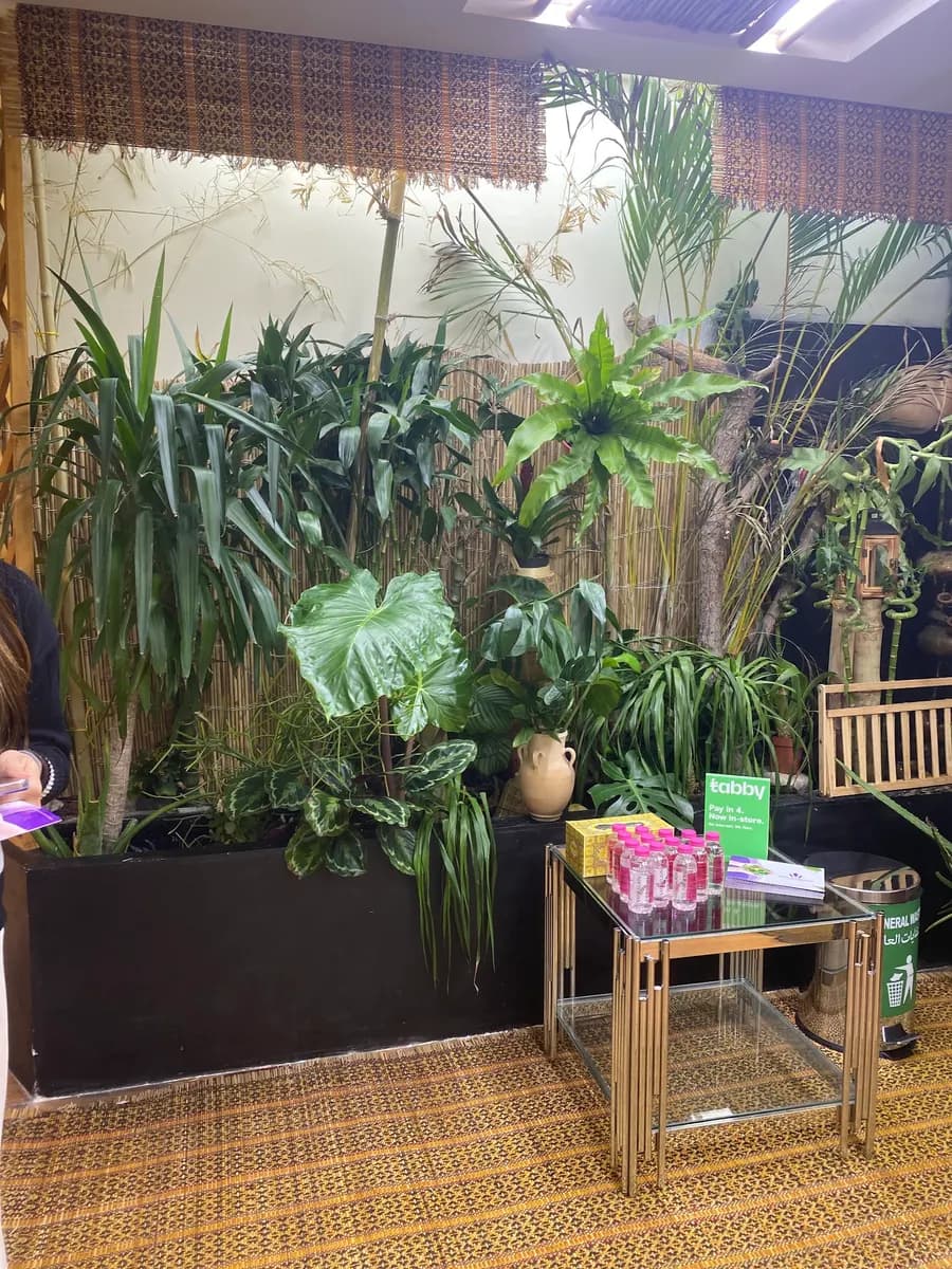 Veda Ayurvedic Medical Center — صورة 6