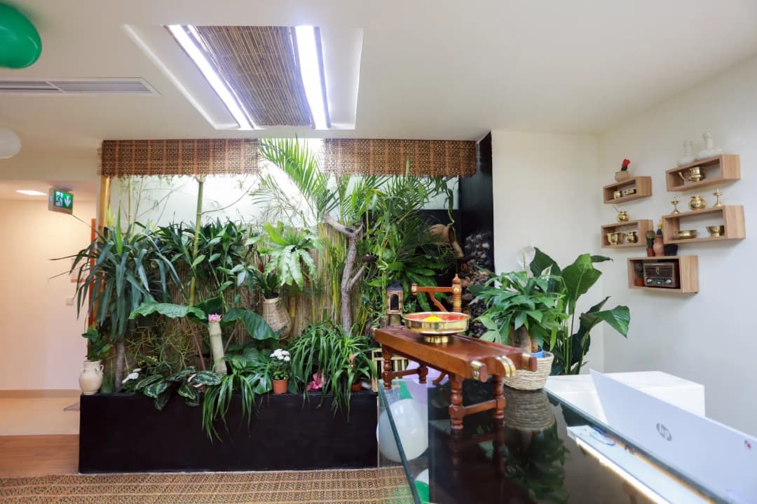 Veda Ayurvedic Medical Center — صورة 7