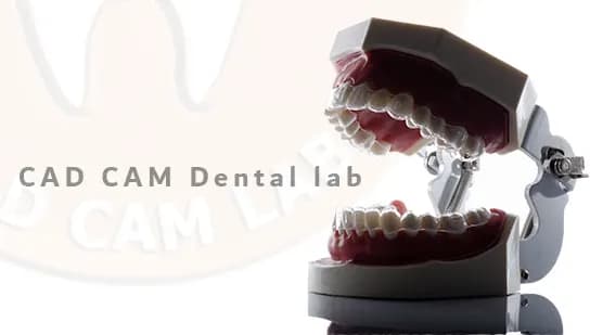 Cad-Cam Dental Lab — صورة 6