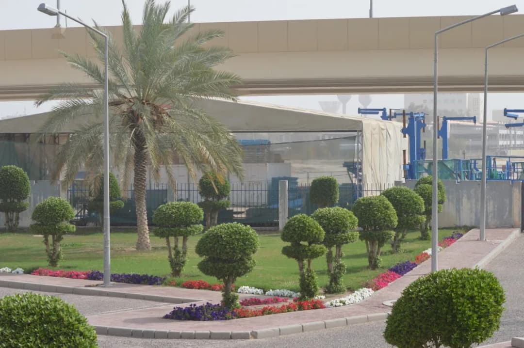 Shaikhan Al-Farsi Rheumatology Center — صورة 4
